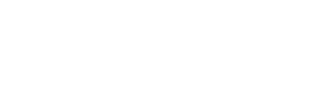Vizion